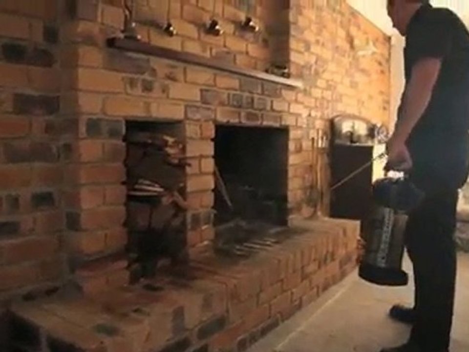 Pest Control Middle Park All Year Pest Solutions QLD