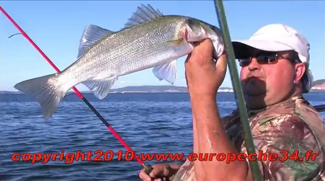 Pêche du loup aux leurres sur l'étang de Thau Europêche 34