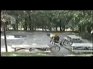 Il modo peggiore per utilizzare un tavolo da picnic