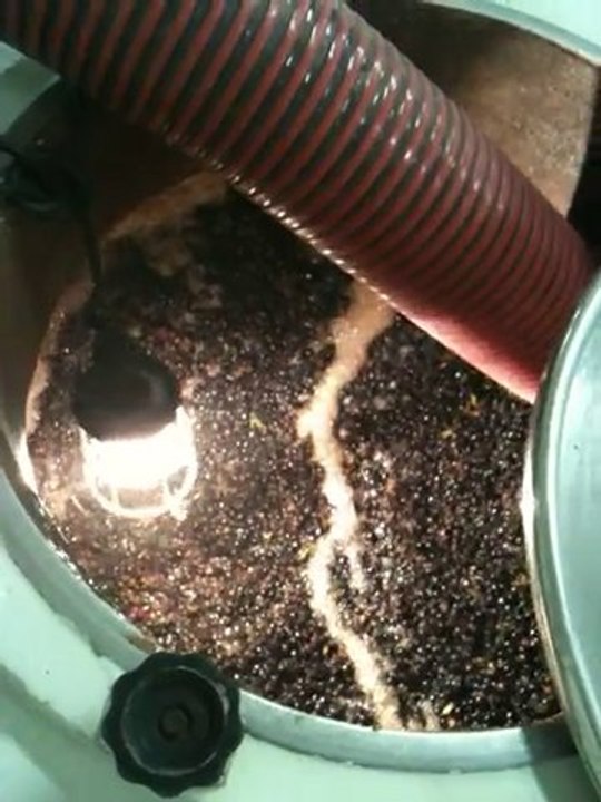 La fermentation alcoolique