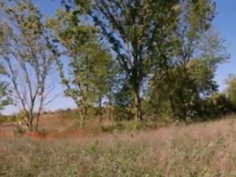 Homes for Sale - 11702 W Brittany Way - Milwaukee, WI 53224