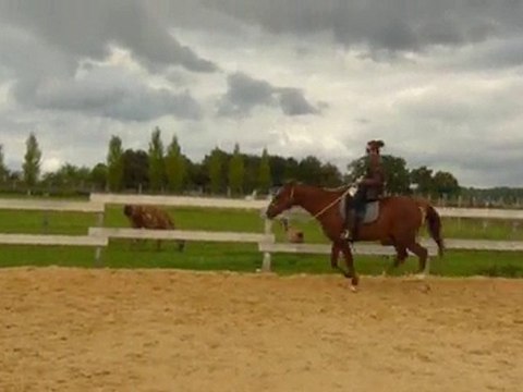 Galop à main gauche_6 octobre 2010