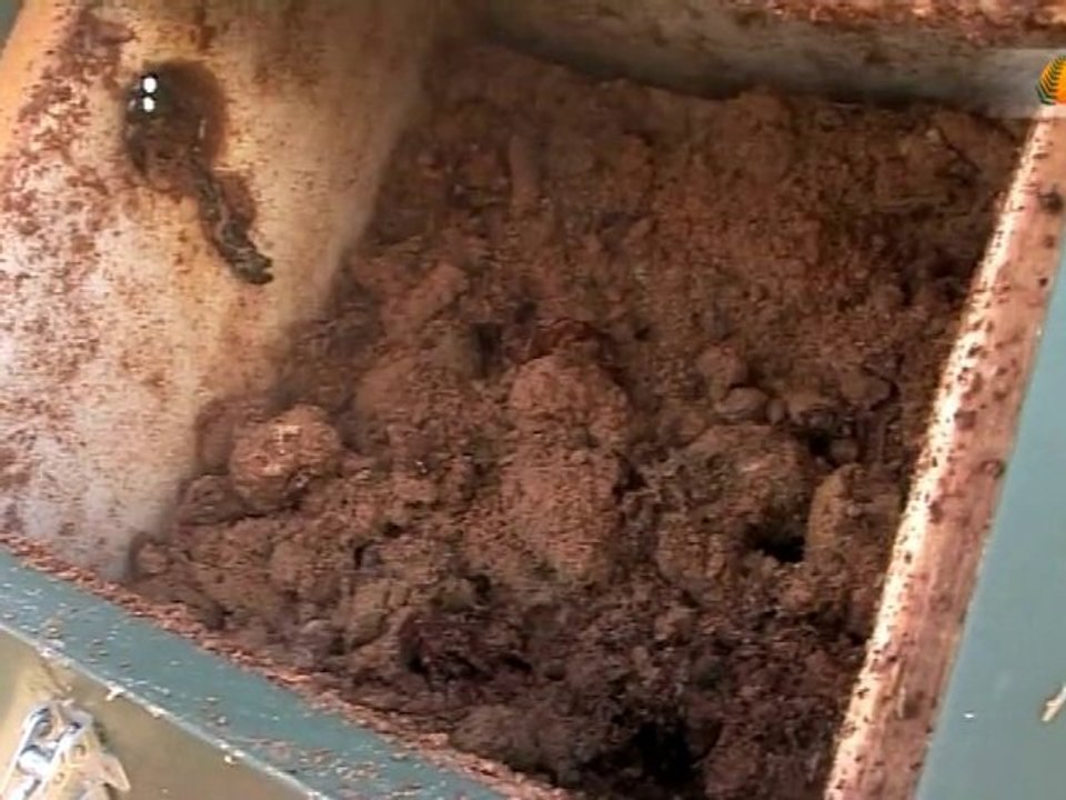 Le compostage entre dans les établissements scolaires