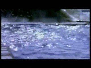 Funda Arar - Kaldırımlar