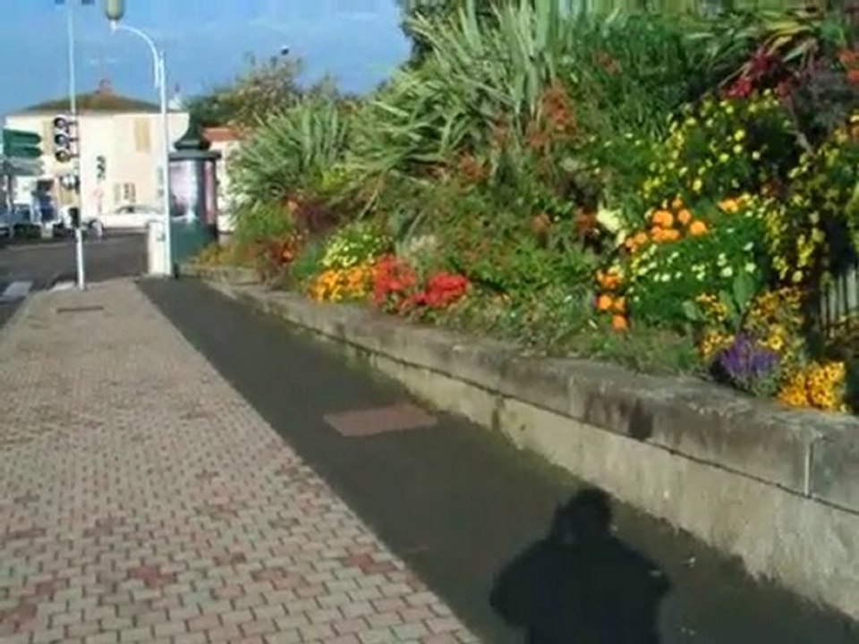 Humour - tagada les Dalton iens