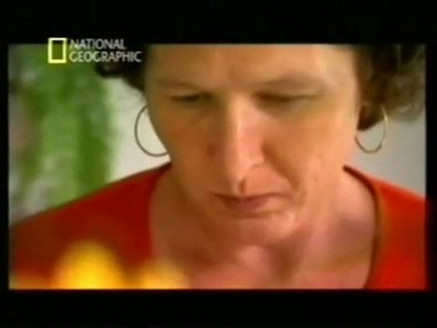 Los gemelos de Mengele: Causas geneticas (Candido Godoi)