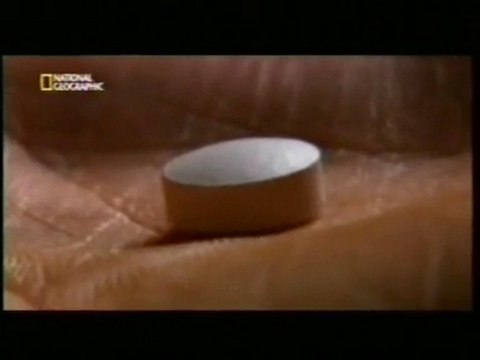 Fiestas rave: Efectos del Extasis (MDMA) (A.C.Parrott)