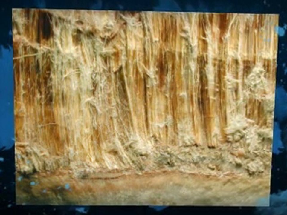 Asbestos Testing El Monte CA