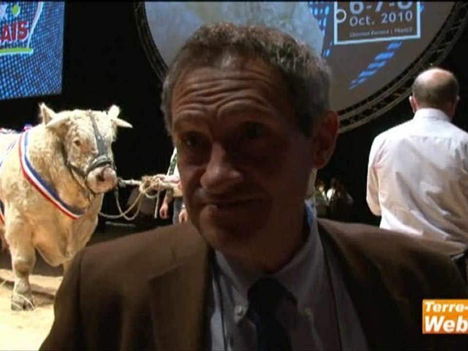 Concours national charolais 2010  - Casimir, grand champion