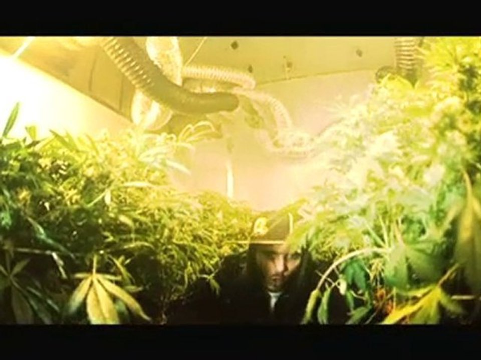 SWAN FYAHBWOY - FUMAWEED (Jota Aronak)