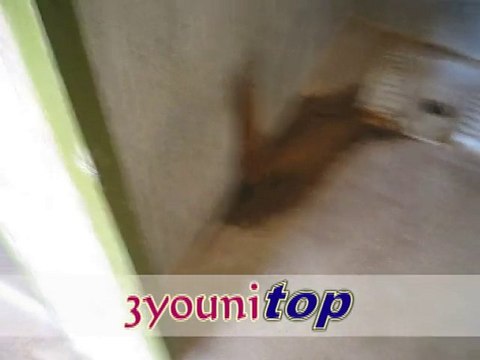 حالة المراحيض بثانوية الزيتون بالعيون الشرقية