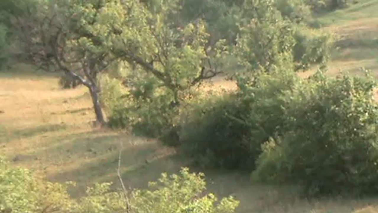 Çillöğük-Deve çayırları