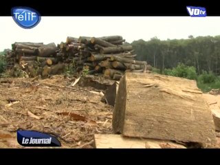 Déboisement : pourquoi, comment ? (Val-d'Oise)