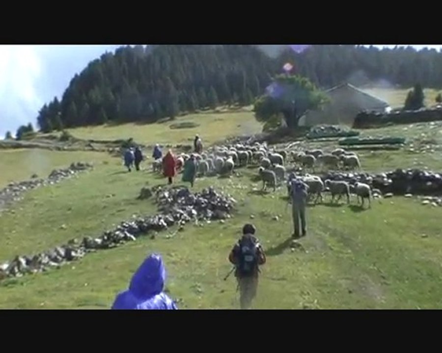 Randos en Diois 2010 Vercors Sud