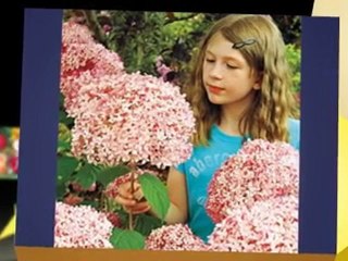 Vegetable Seeds, Fruit Trees, and More!