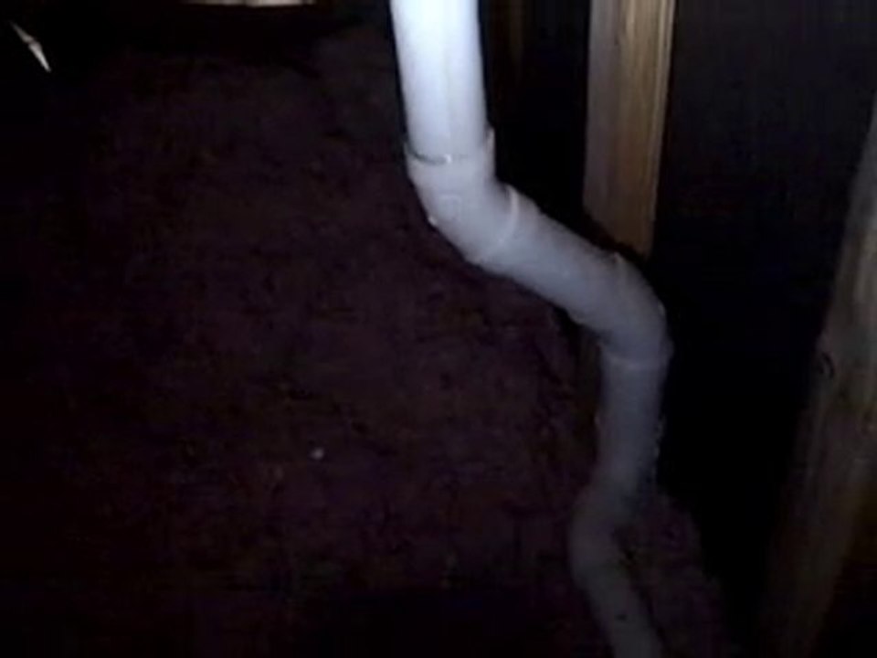 Charlotte Home Inspector Finds Attic Leak