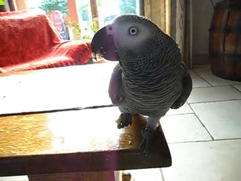 mmmmmmm c'est bon des néfles