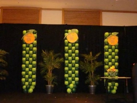 Balloon San Diego Testimonial- Corporate Decor