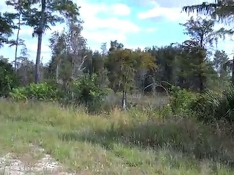 447 Greenbriar Blvd Lehigh Acres, FL 33972