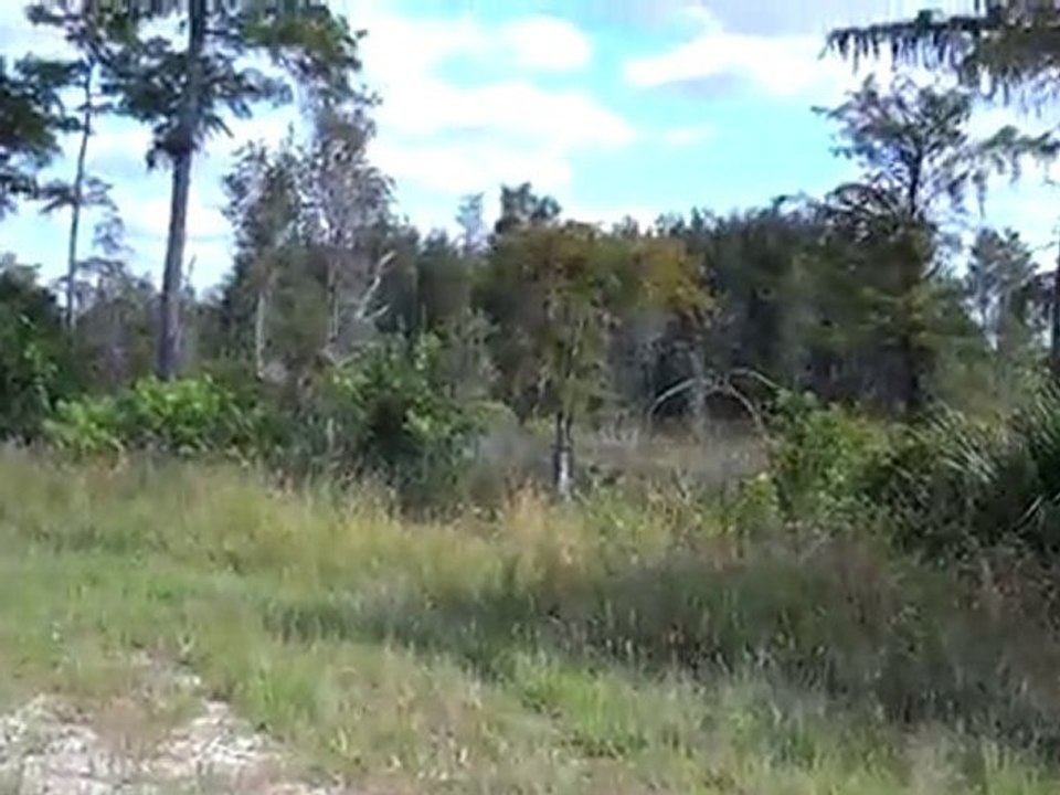 447 Greenbriar Blvd Lehigh Acres, FL 33972