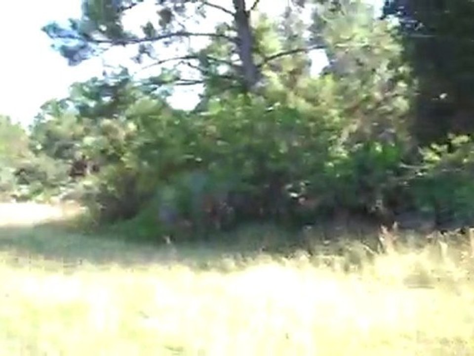 625 Greenbriar Blvd Lehigh Acres, FL 33972