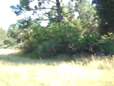 625 Greenbriar Blvd Lehigh Acres, FL 33972