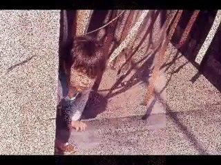 OUR GIFT TO THE WORLD WITHOUT WORDS