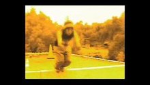 Una Reco 2da Versión - Daer