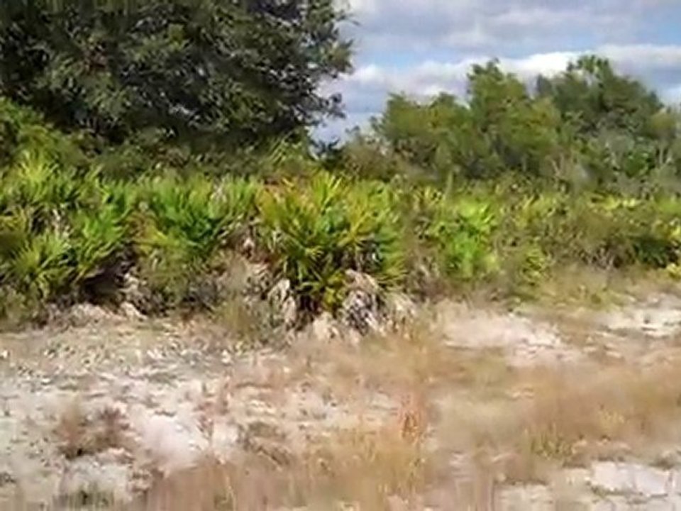 714 Quebec St Lehigh Acres, FL 33972