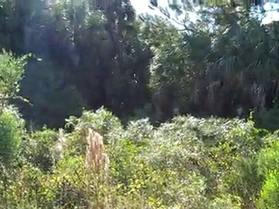 1834 Honduras Lehigh Acres, FL 33972