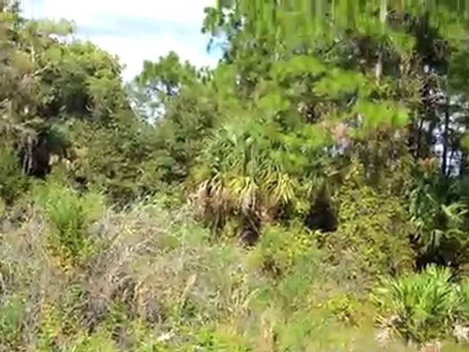 1884 La Roda Ave Lehigh Acres, FL 33972