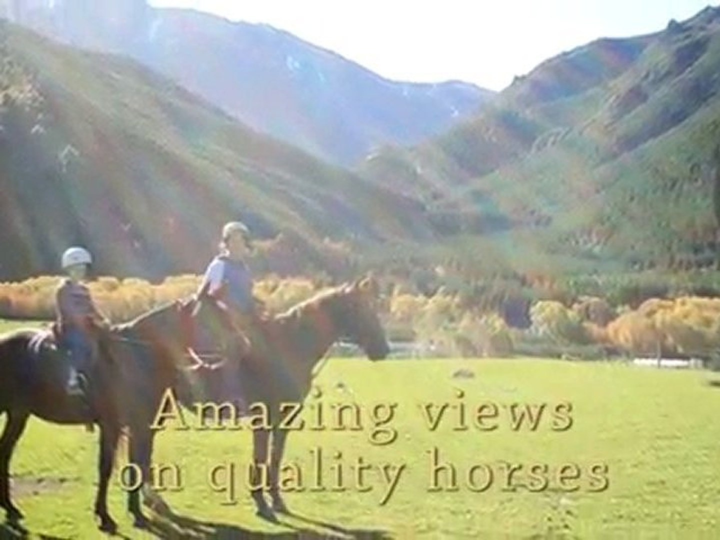 ⁣Horse - Hanmer Horses -  Hanmer Springs - New Zealand