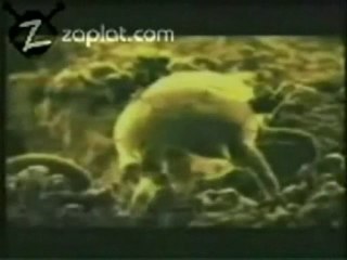 MİTE - Fidas Yatak Dezenfeksiyonu