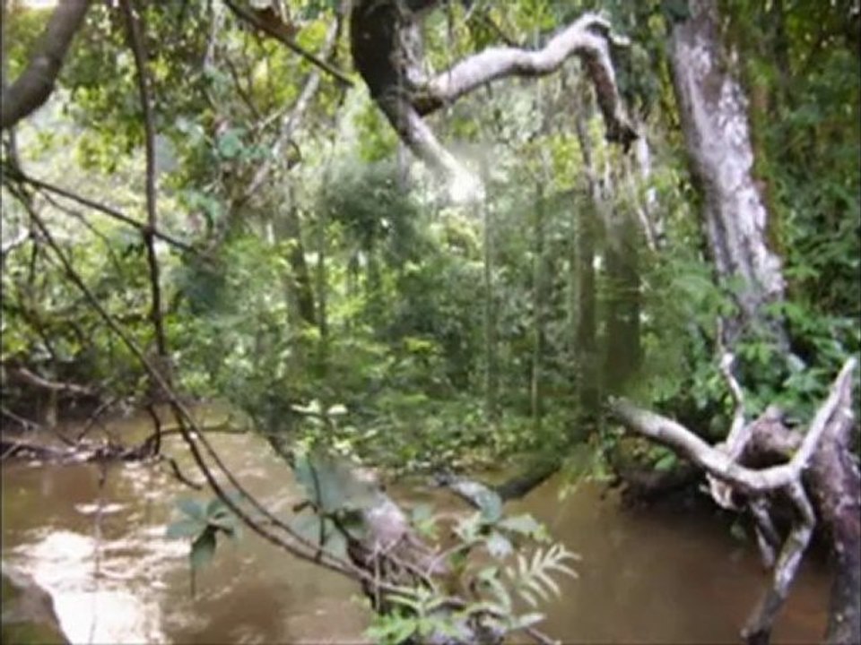 MOMBA SUITE 02 par HÉLÈNE