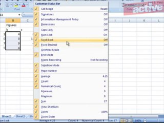 Customise the Excel 2007 Status bar