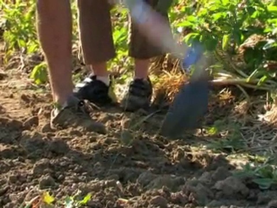 1er Partie-"Vers Dautres Possibles." Un jardin solidaire!