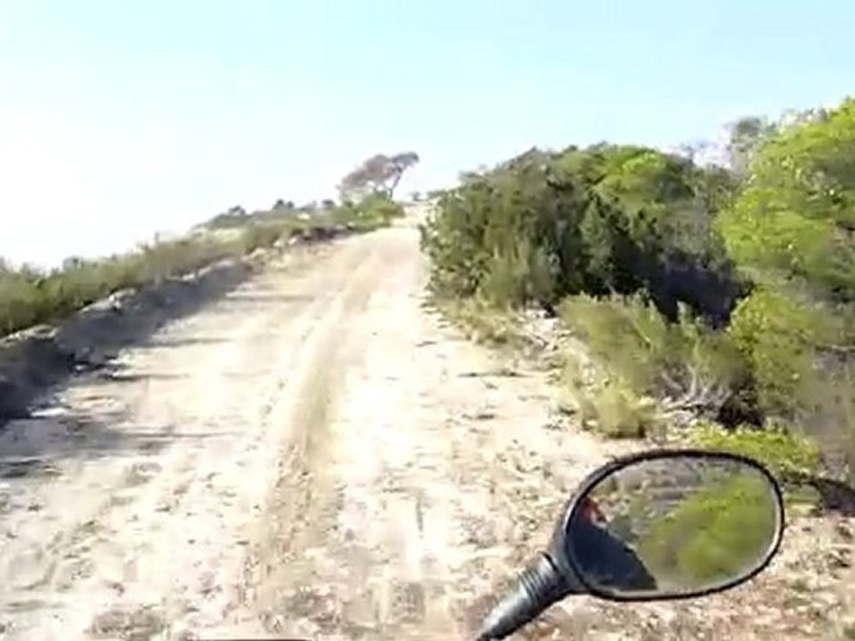 Quad Artic cat Fraga 2010