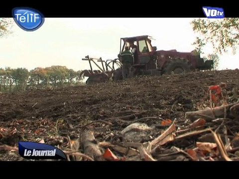 L’homme de la forêt (Montmorency)
