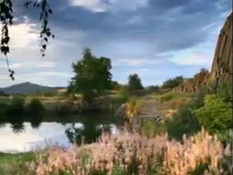 Gözlerim Her Yerde Seni Aradı - Erkin Koray