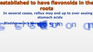 Diet for Acid Reflux - Helpful Advice