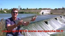 Pêche du mulet aux leurres streetfishing Europêche 34