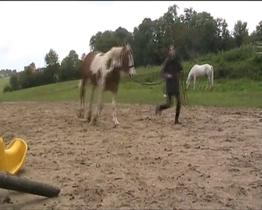 automne 2010 prum's krach ulysse