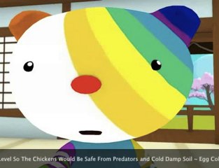 DIY Chicken Coop Builder Plans
