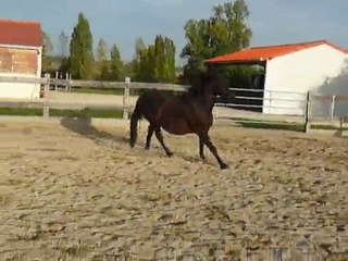 Quiator liberté octobre 2010