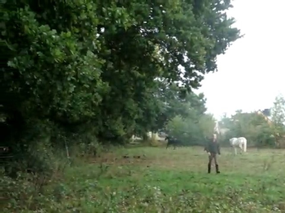 tempête au galop
