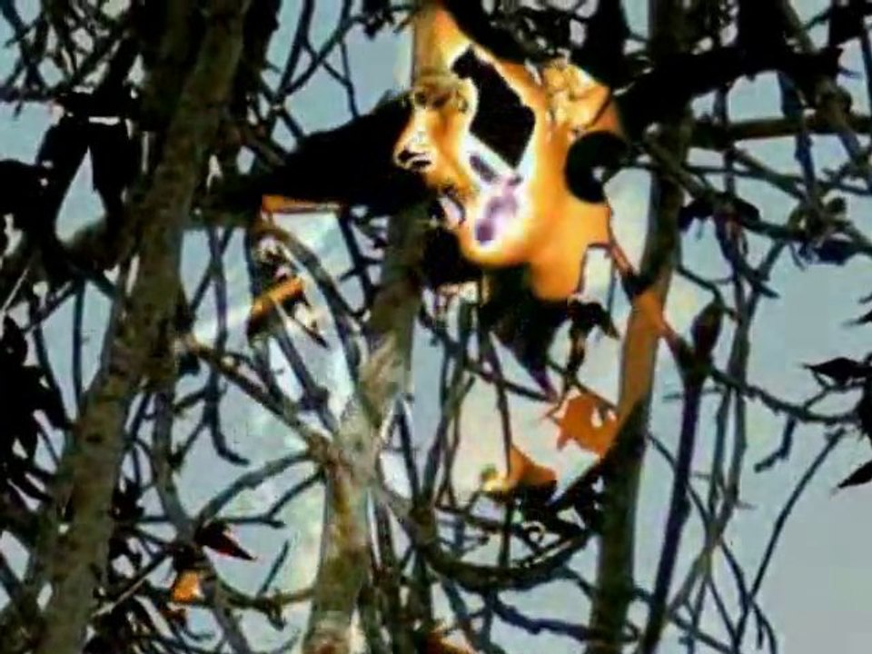 Urfa'nın etrafı dumanlı dağlar - Hannah Berger / Dilber