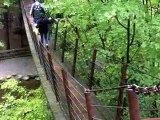 A Tour of the Capilano Suspension Bridge