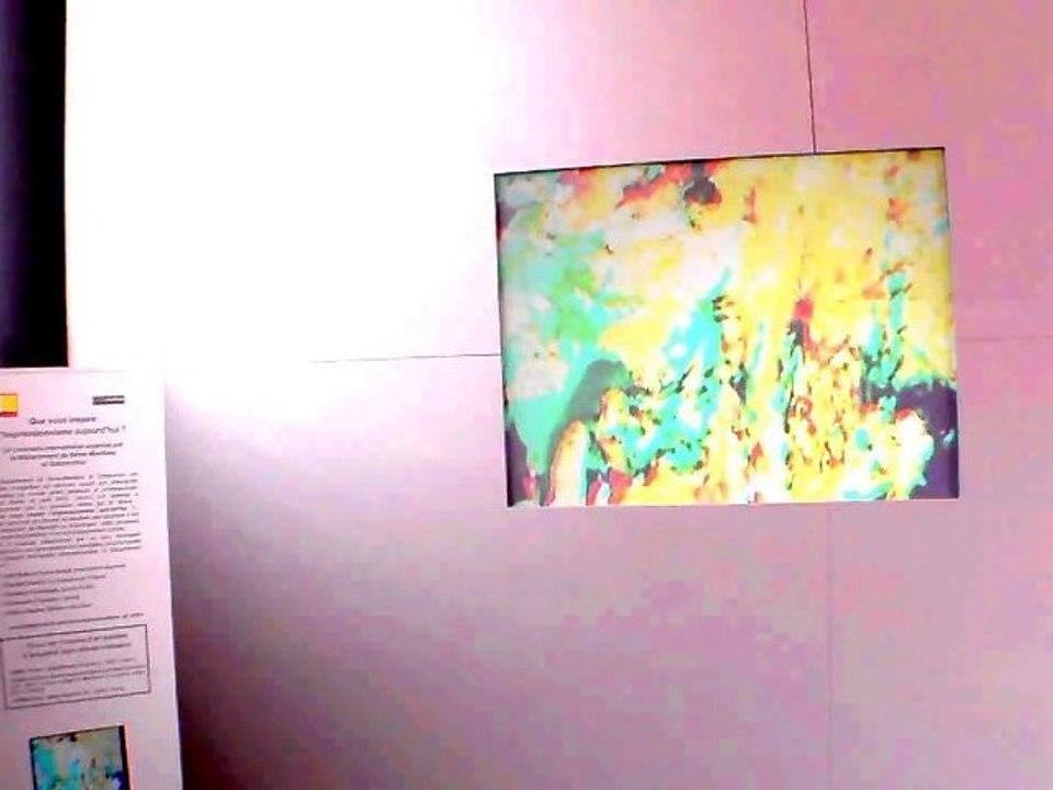 IMPRESSIONNISME ART VIDEO - Chantal Cavenel