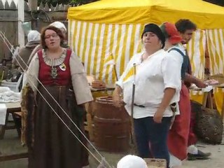 Puy en Velay sept 2010 036