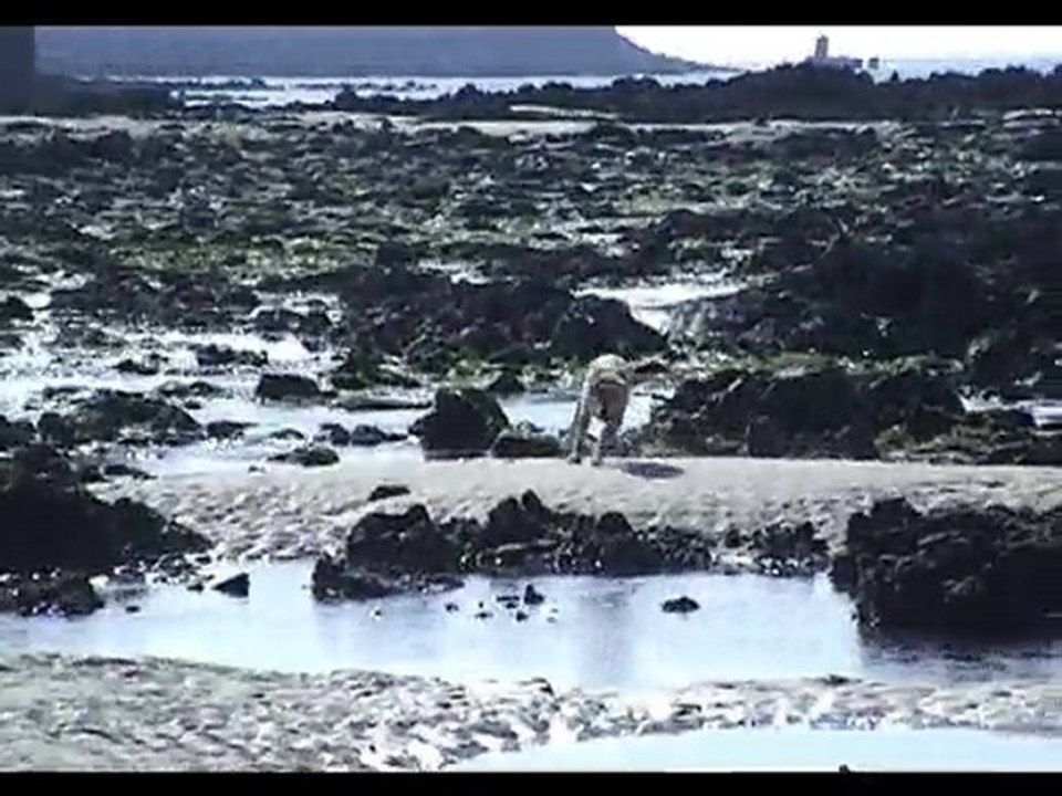 Floki 8 octobre 2010